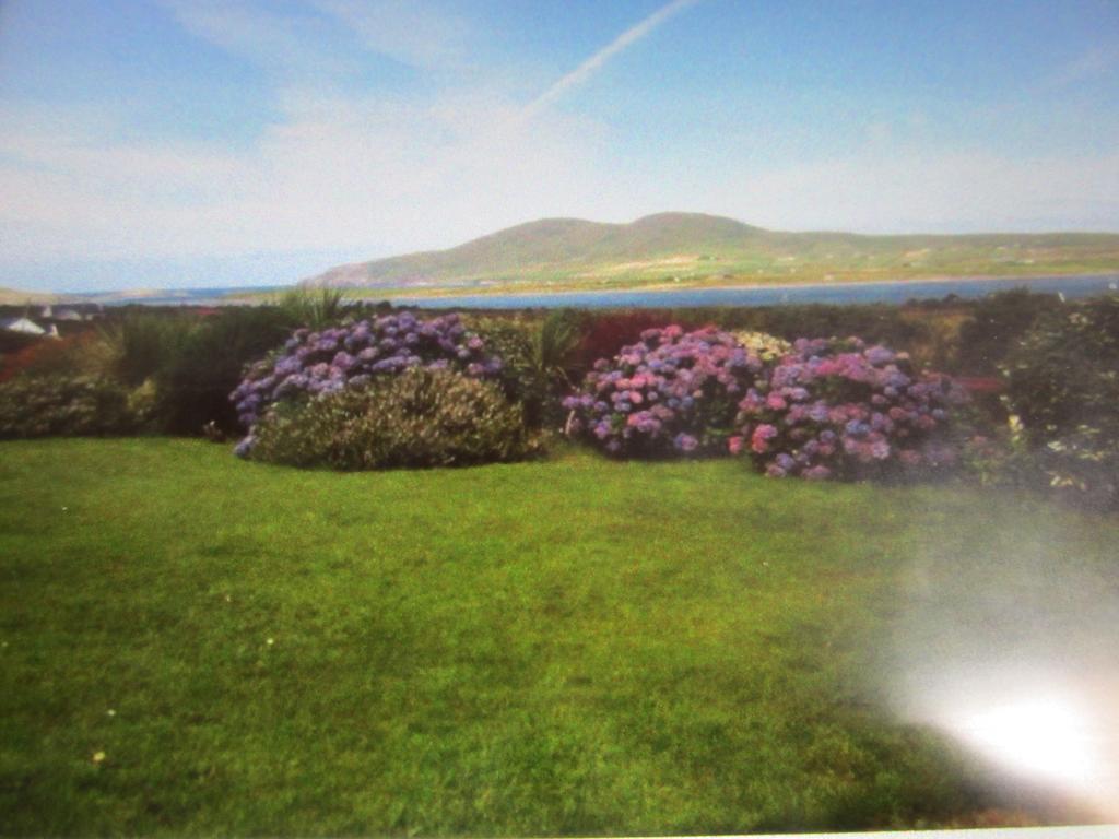 Ocean View B&B Killarney Exterior photo
